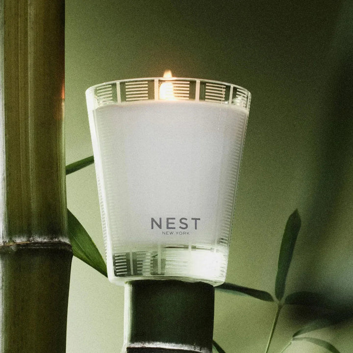 NEST candle with a bamboo plant in the background