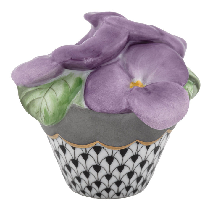 Pansies In Flowerpot