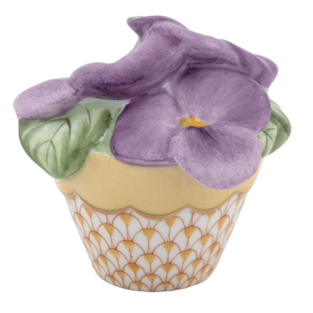 Pansies In Flowerpot