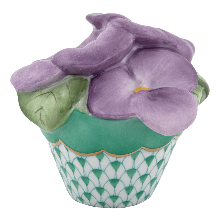 Pansies In Flowerpot