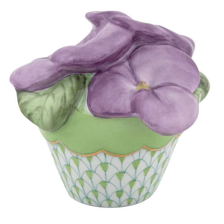 Pansies In Flowerpot