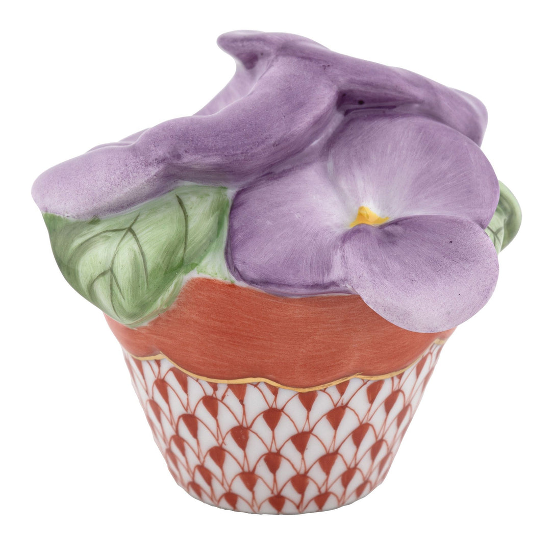 Pansies In Flowerpot