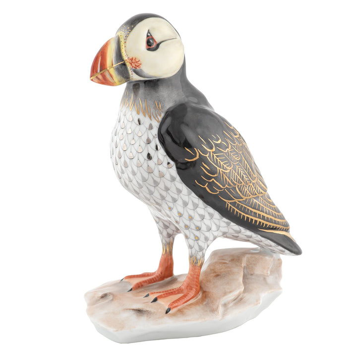Puffin on Rock