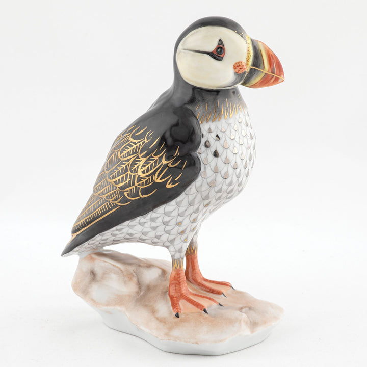 Puffin on Rock