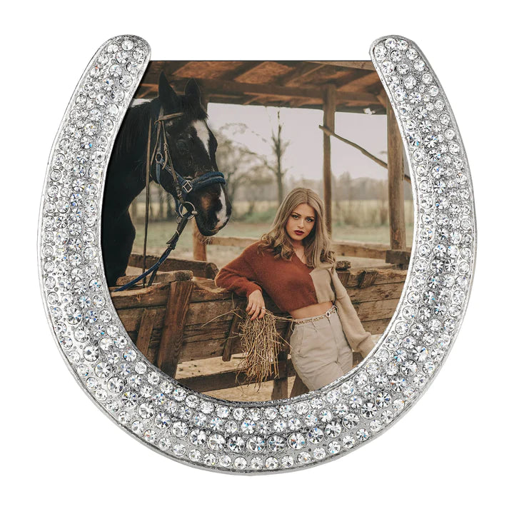 Silver Horseshoe 3.5" Frame