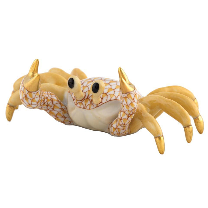 Sand Crab