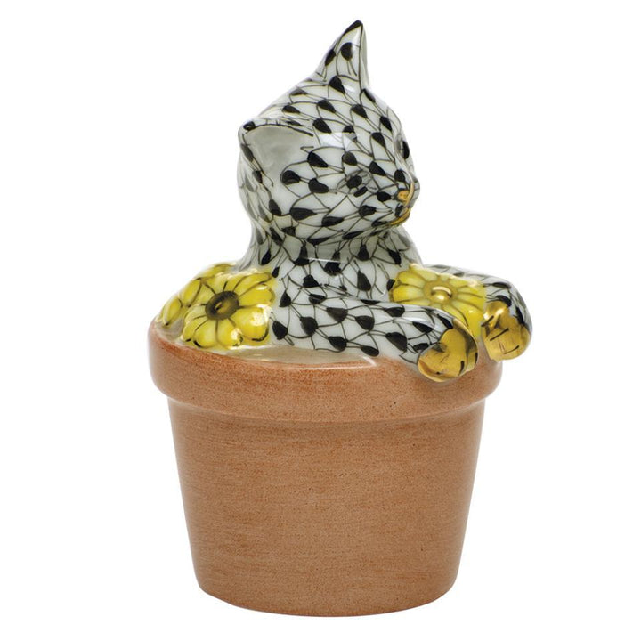 Flower Pot Kitty