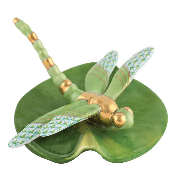 Dragonfly On Lily Pad