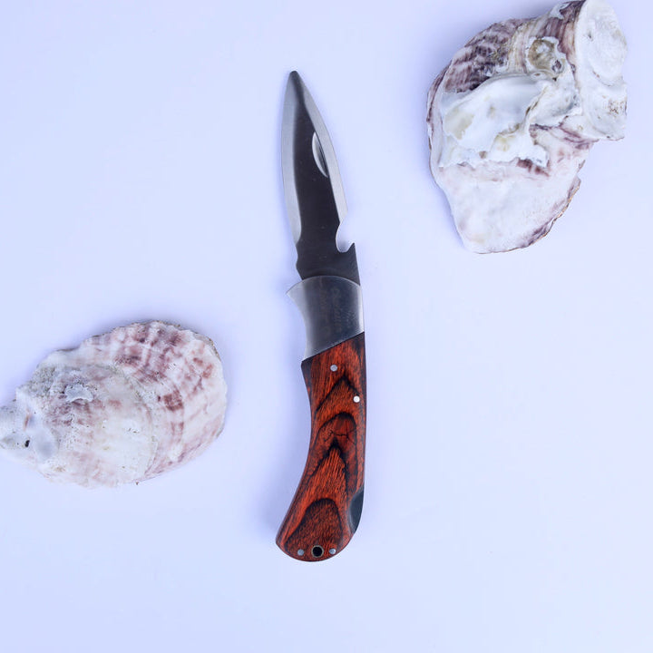 Knife with a wooden handle next to two seashells on a white background