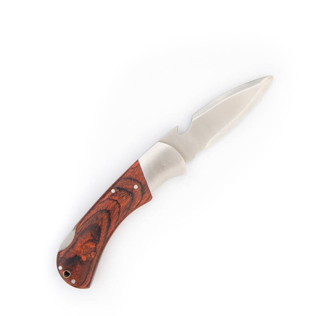 Knife with a wooden handle on a white background