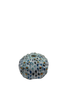Sea Urchin