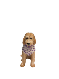 Labradoodle