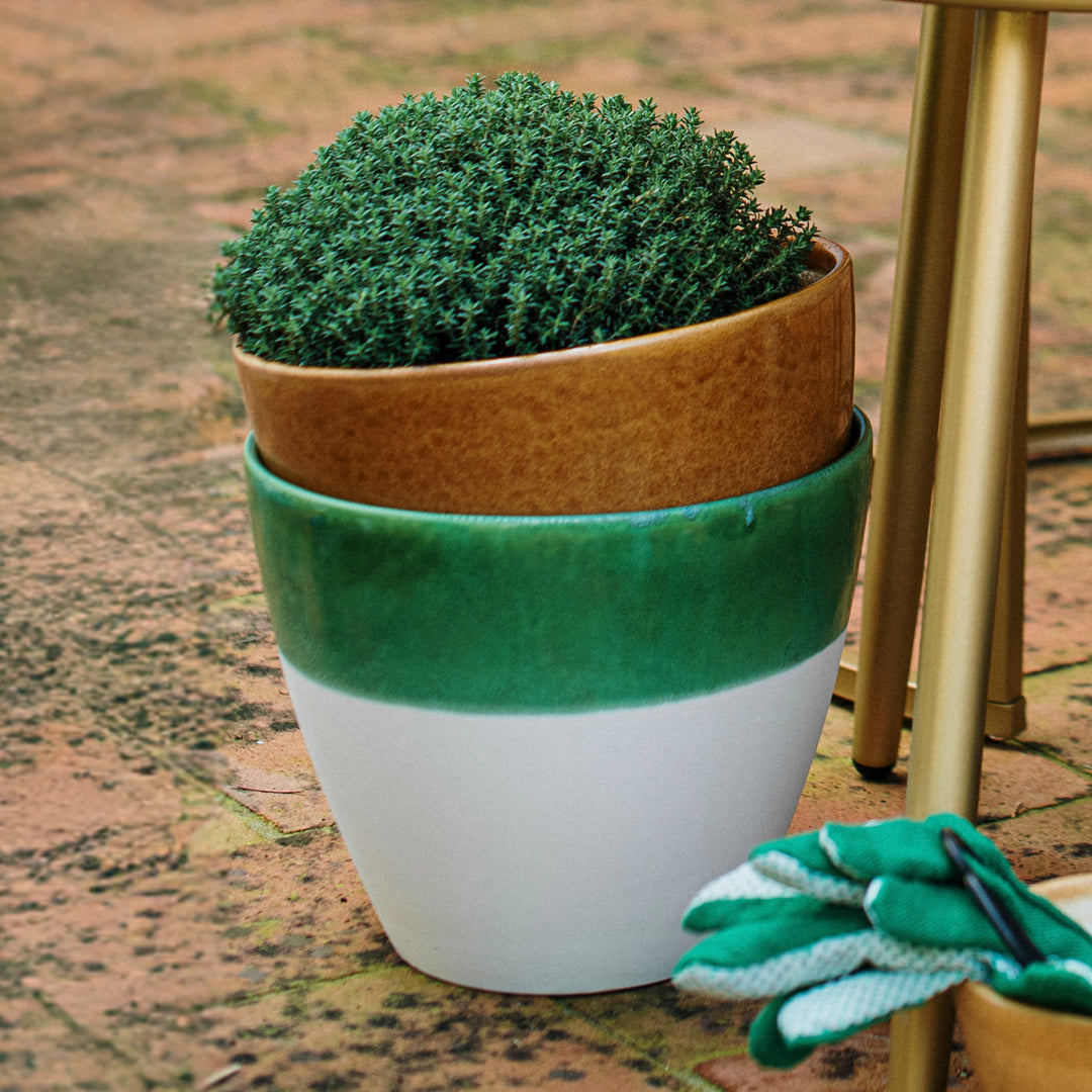 Viva Garden Green Reactive Large Cachepot
