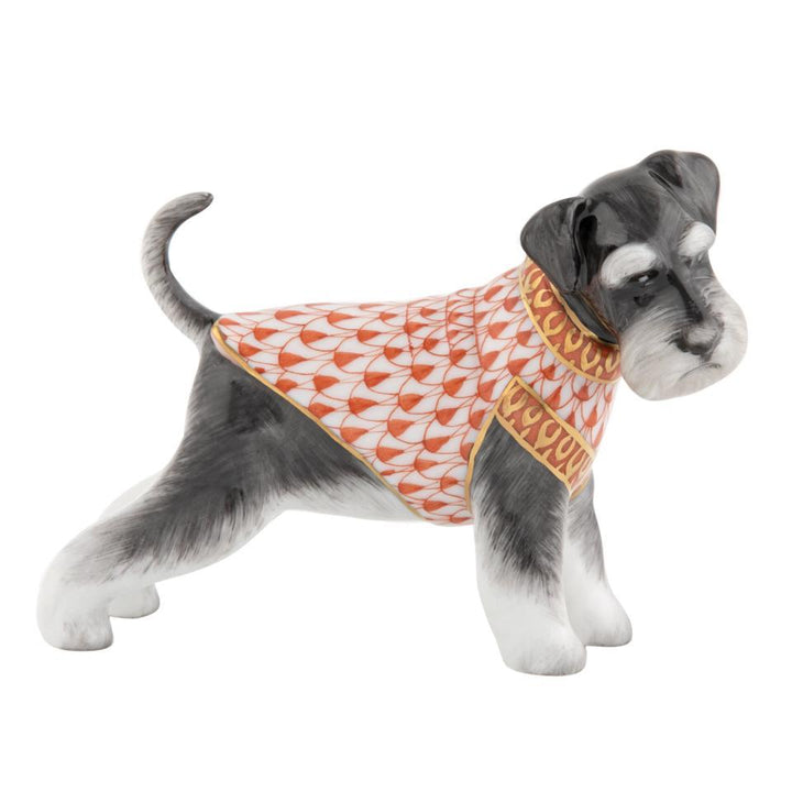 Schnauzer