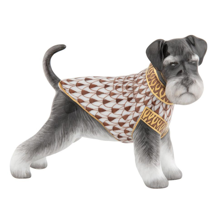 Schnauzer