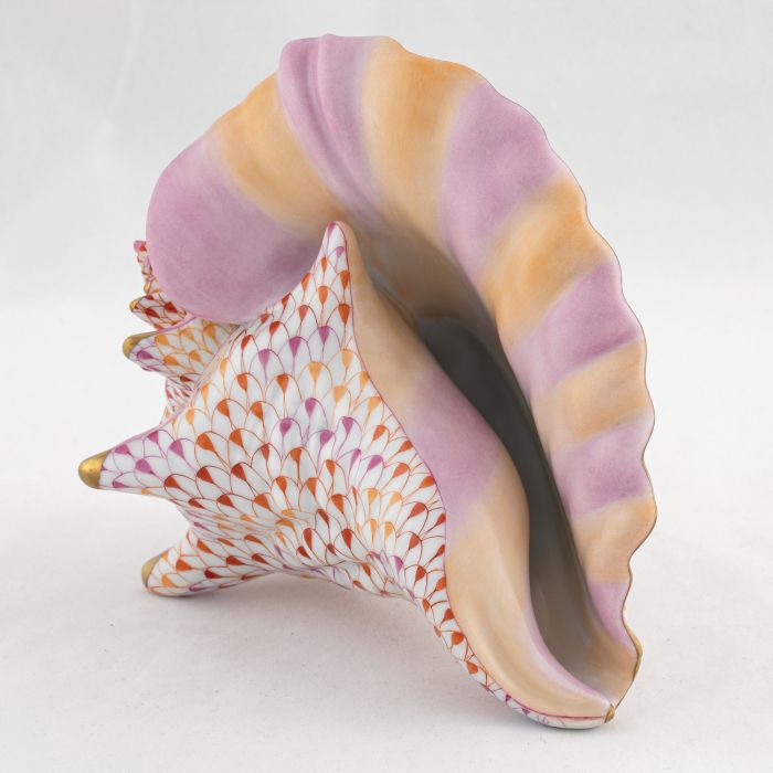 Conch Shell