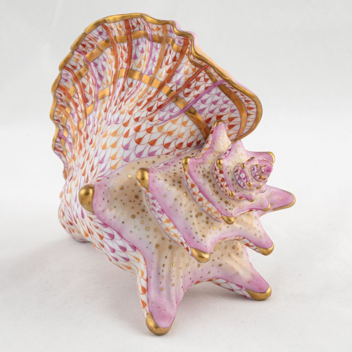 Conch Shell