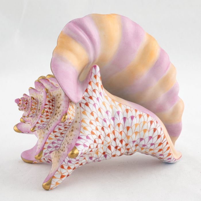 Conch Shell