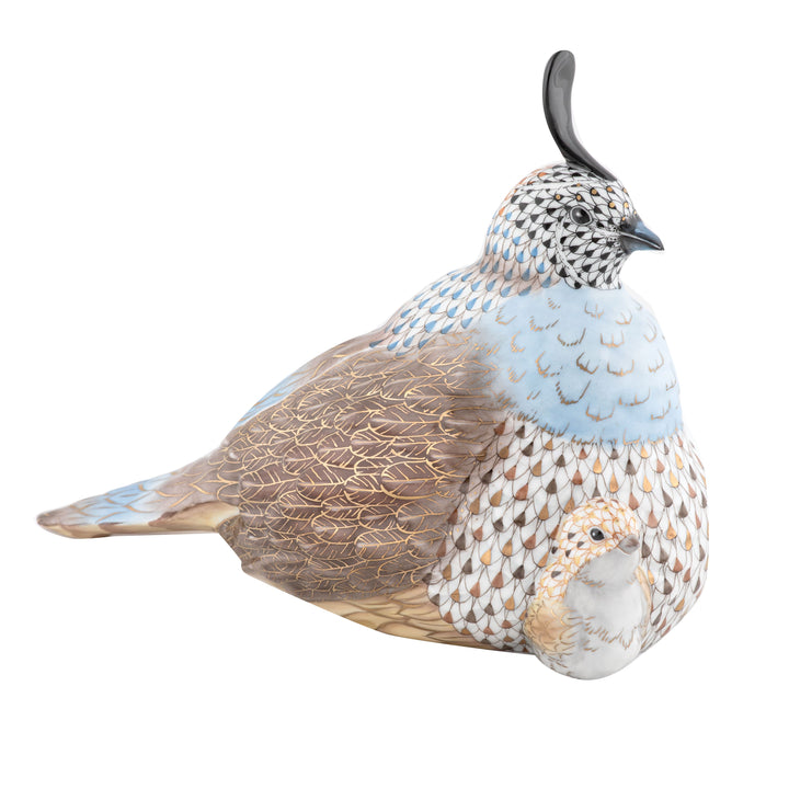 Mother And Baby Quail