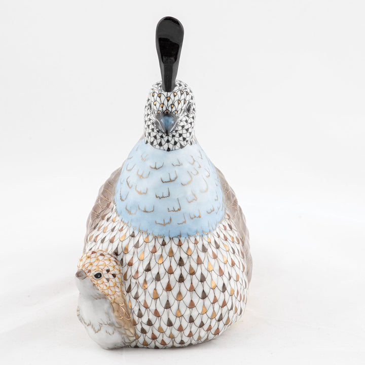 Mother And Baby Quail