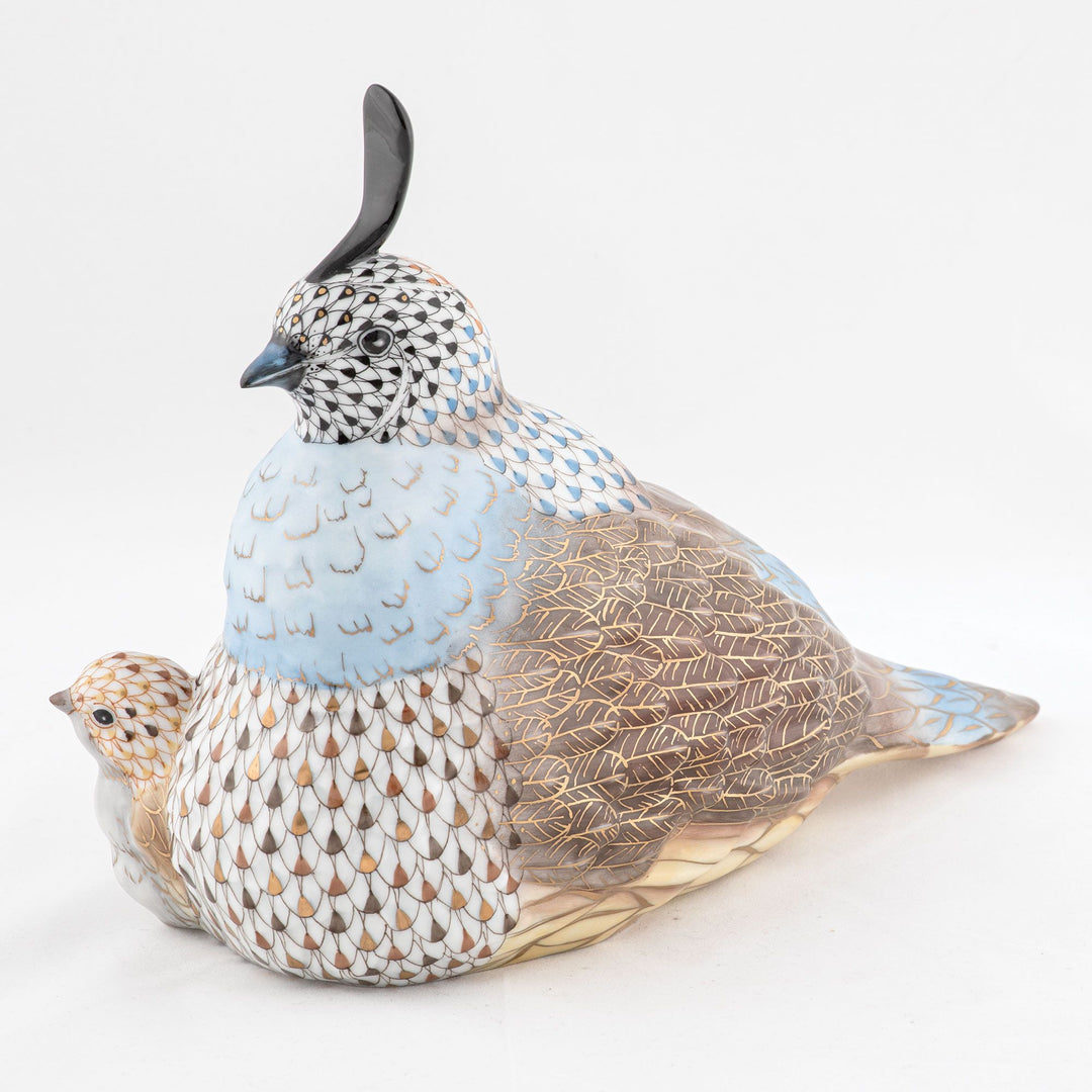 Mother And Baby Quail