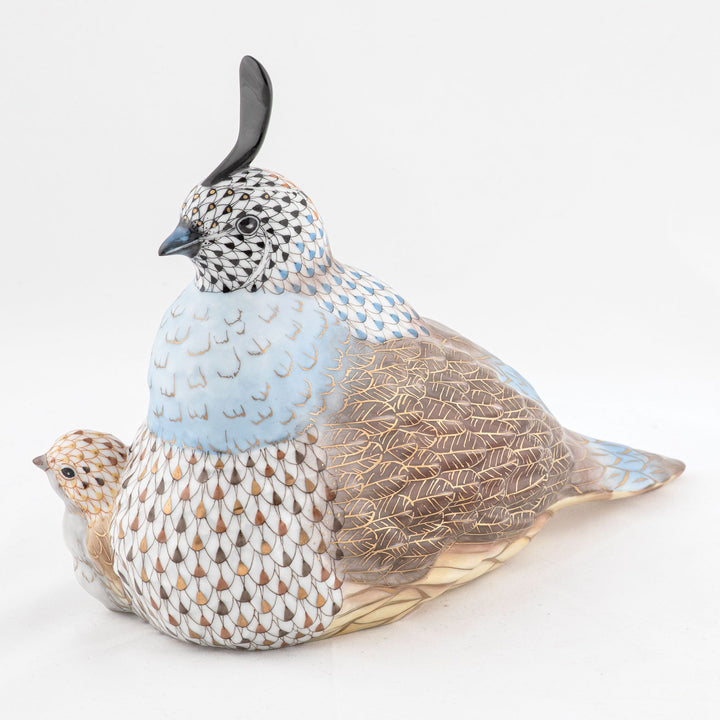 Mother And Baby Quail