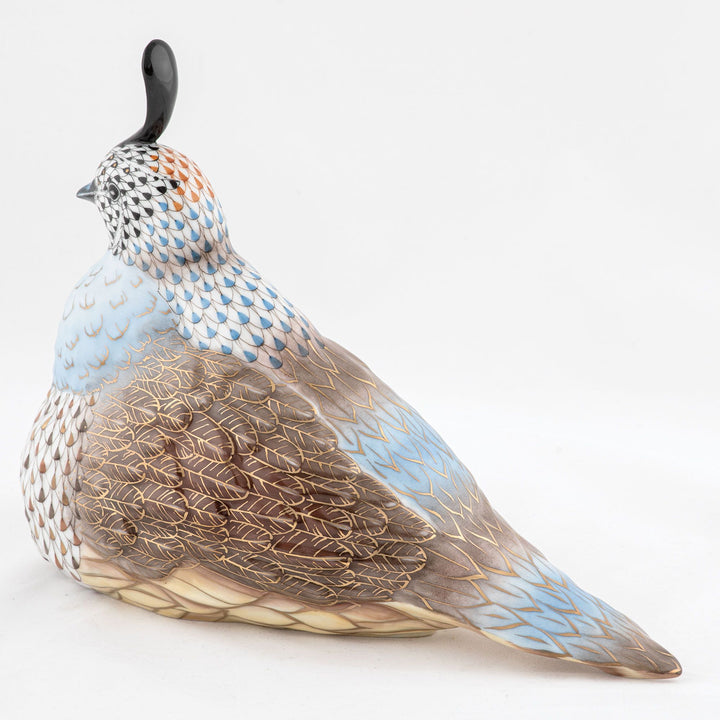 Mother And Baby Quail