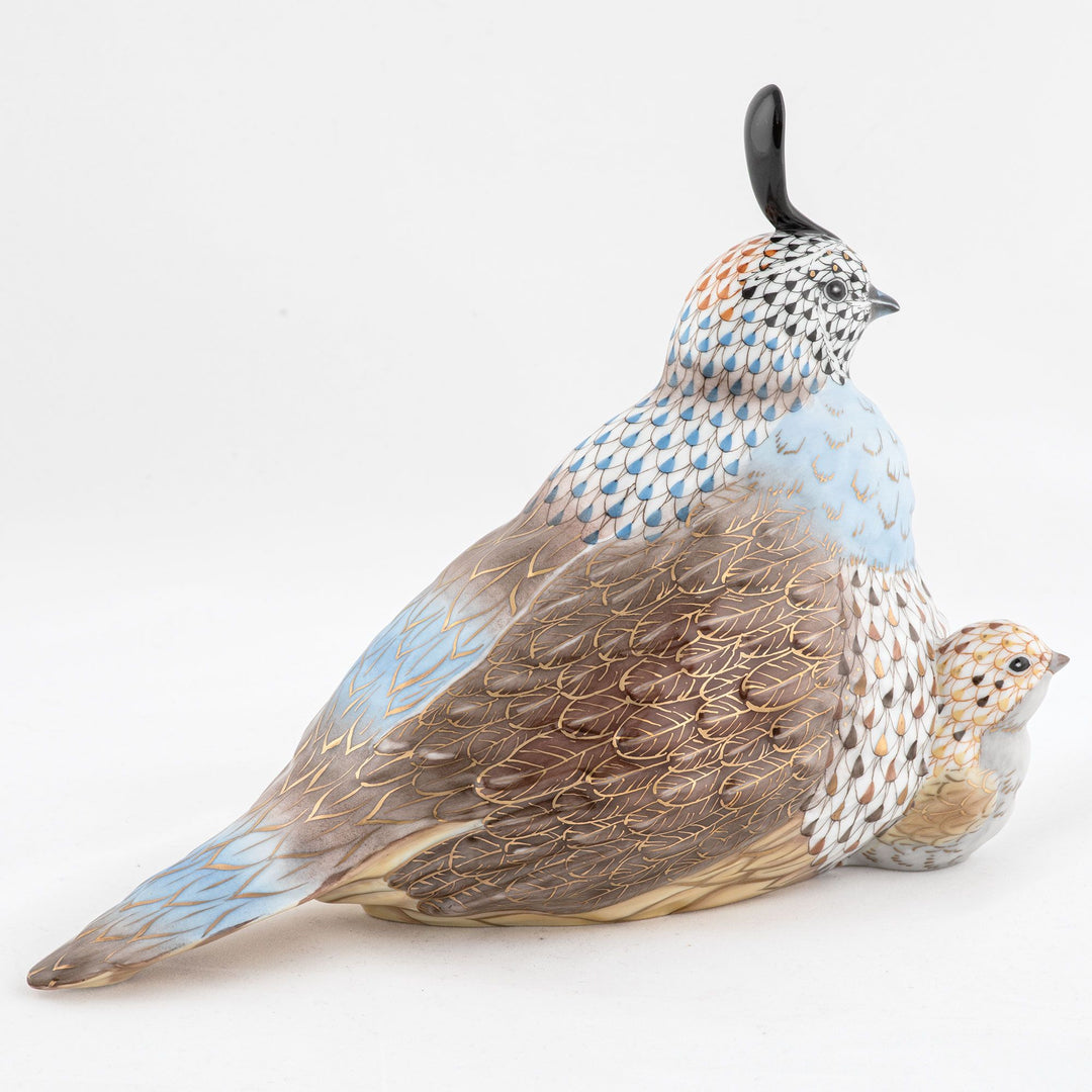 Mother And Baby Quail