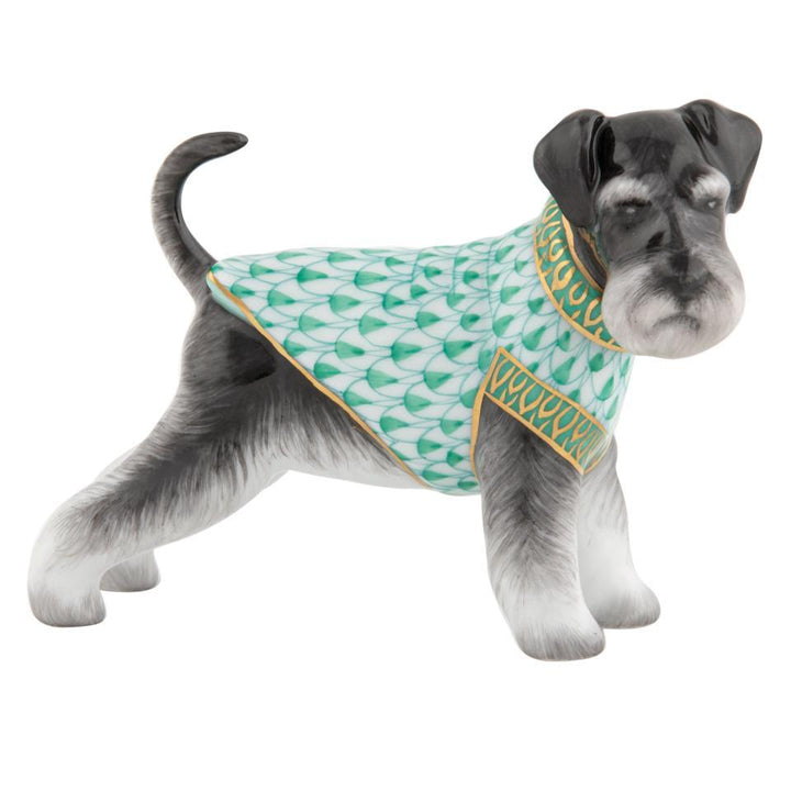 Schnauzer