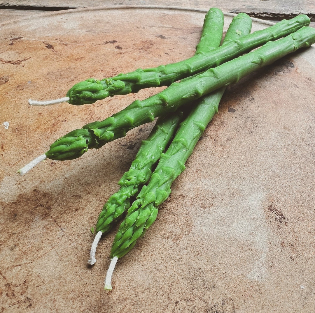 Asparagus Candle