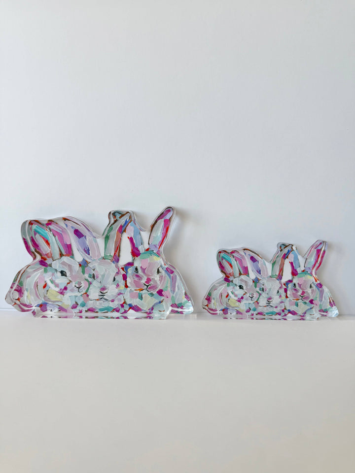 “Hip Hap Hop” acrylic shelfie