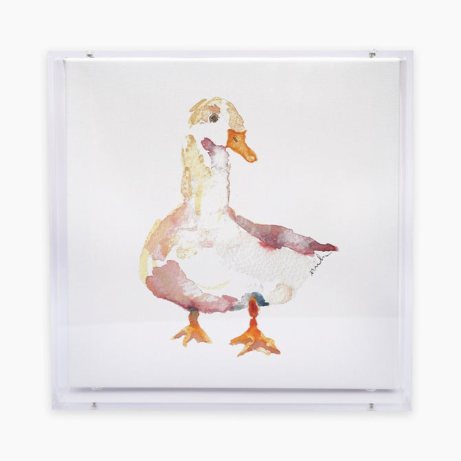 Animal Acrylic Shadow Box