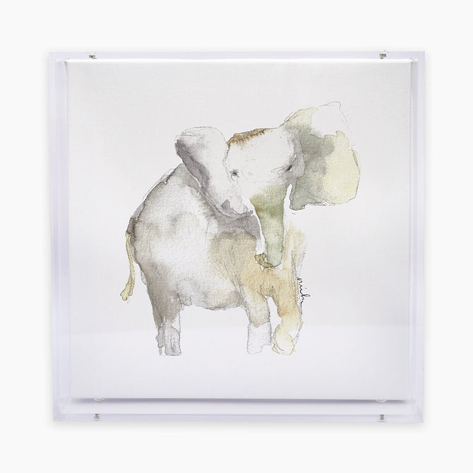Animal Acrylic Shadow Box