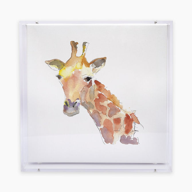 Animal Acrylic Shadow Box