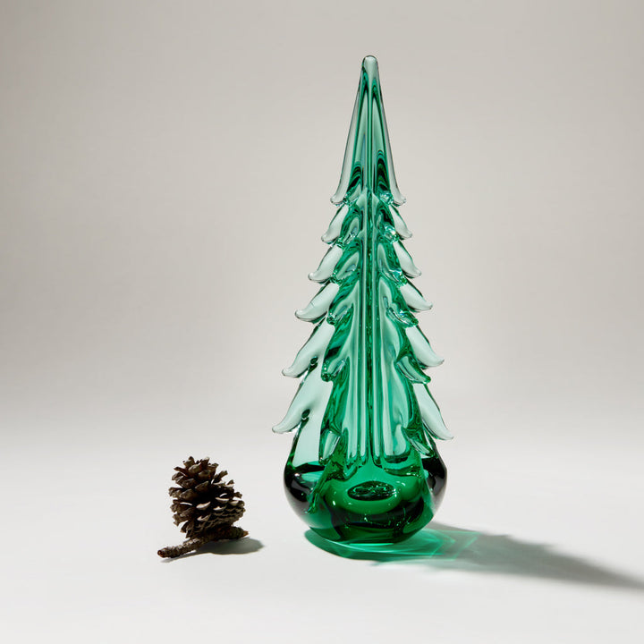 Green Mountain Evergreen in Gift Box - 10 Inch
