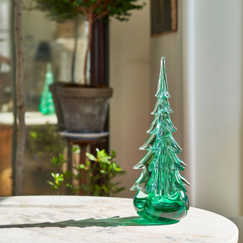 Green Mountain Evergreen in Gift Box - 10 Inch