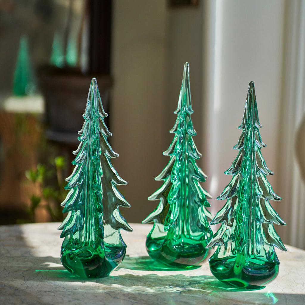 Green Mountain Evergreen in Gift Box - 10 Inch