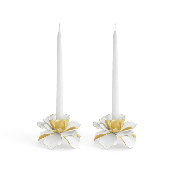 Gardenia Teacup S/2