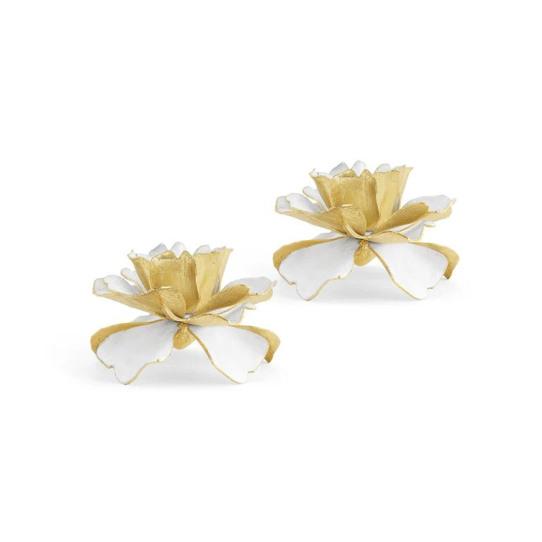 Gardenia Teacup S/2