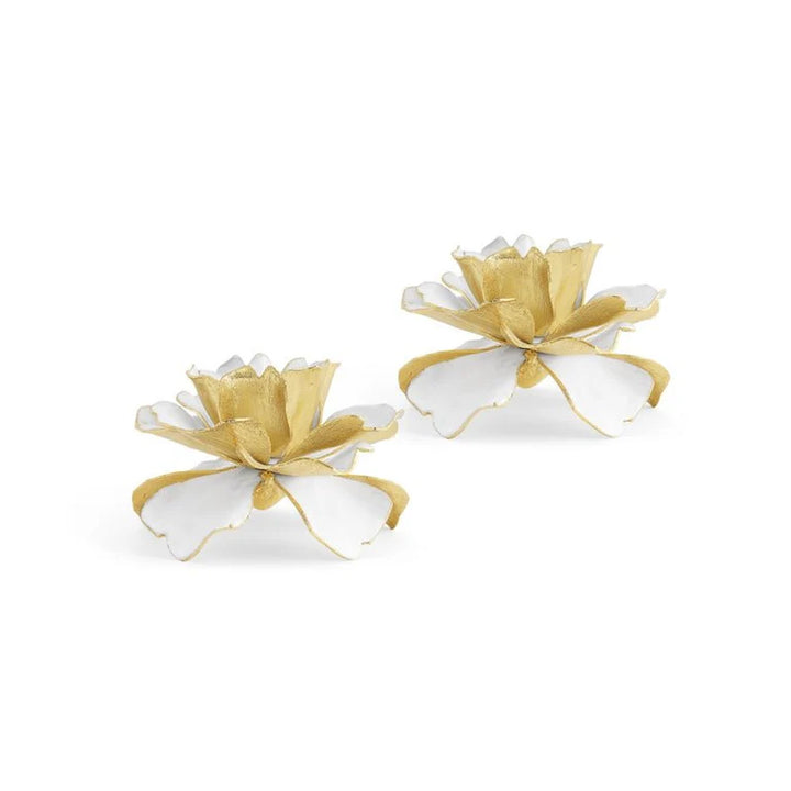 Gardenia Teacup S/2