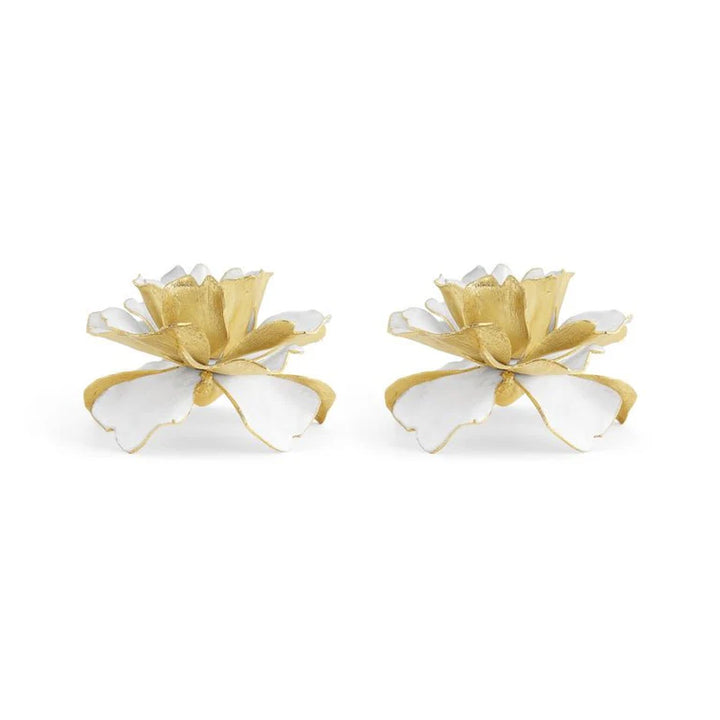 Gardenia Teacup S/2