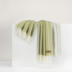 Fiji Stripe Throw