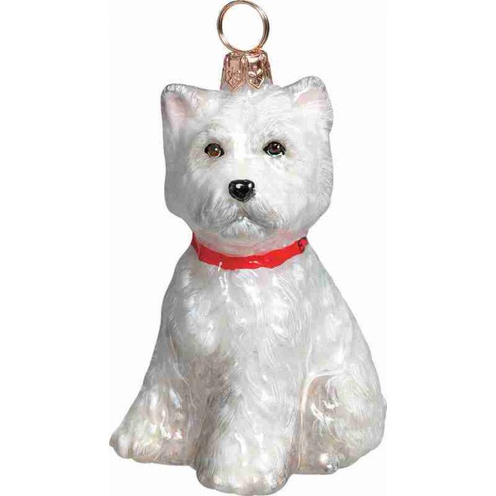 Westie Puppy