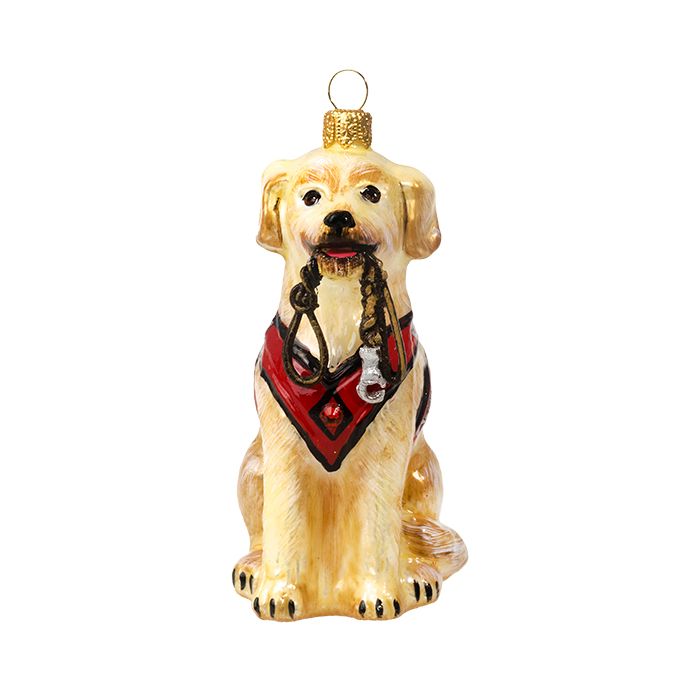 Yellow Lab with Vest & Leash