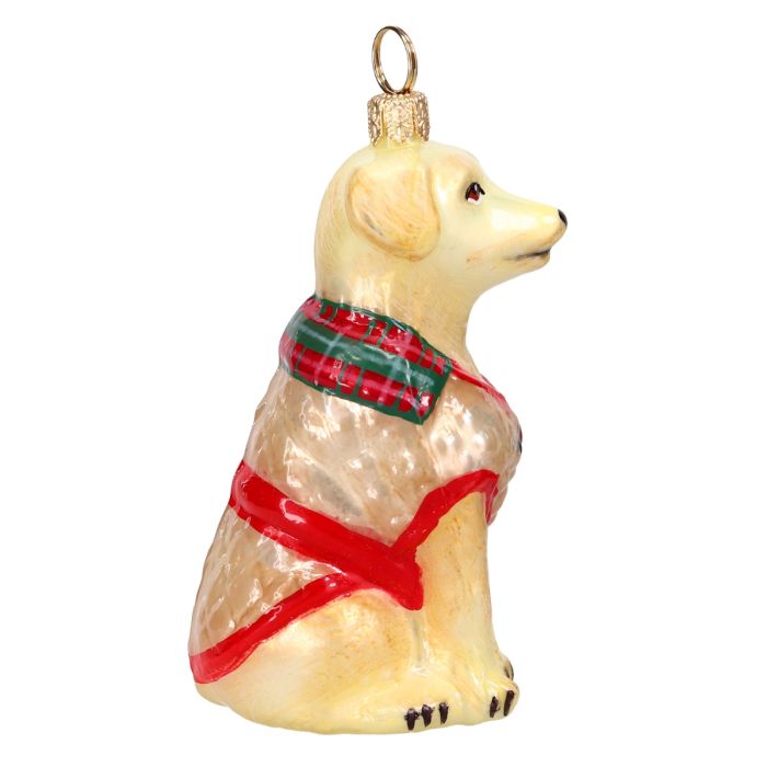 Yellow Lab in Barbour Coat